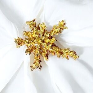 💛Vintage Signed DeNicola Gold Coral Brooch